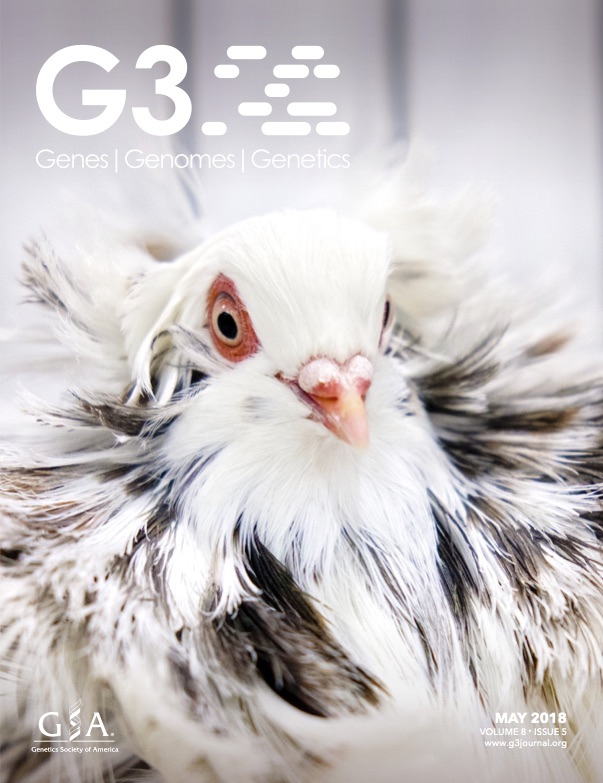 G3 cover