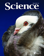 Science pigeon cover